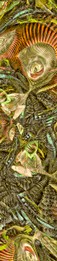 128-sciarpa_180x40_raso di seta